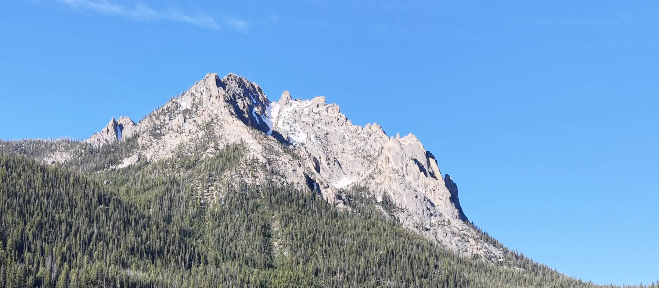 Jagged Sawtooth peaks rising above forested slopes under a clear blue sky.